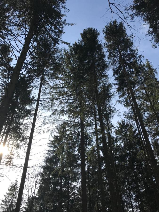 Wohnung Mit Panoramablick Gerolstein Eksteriør bilde